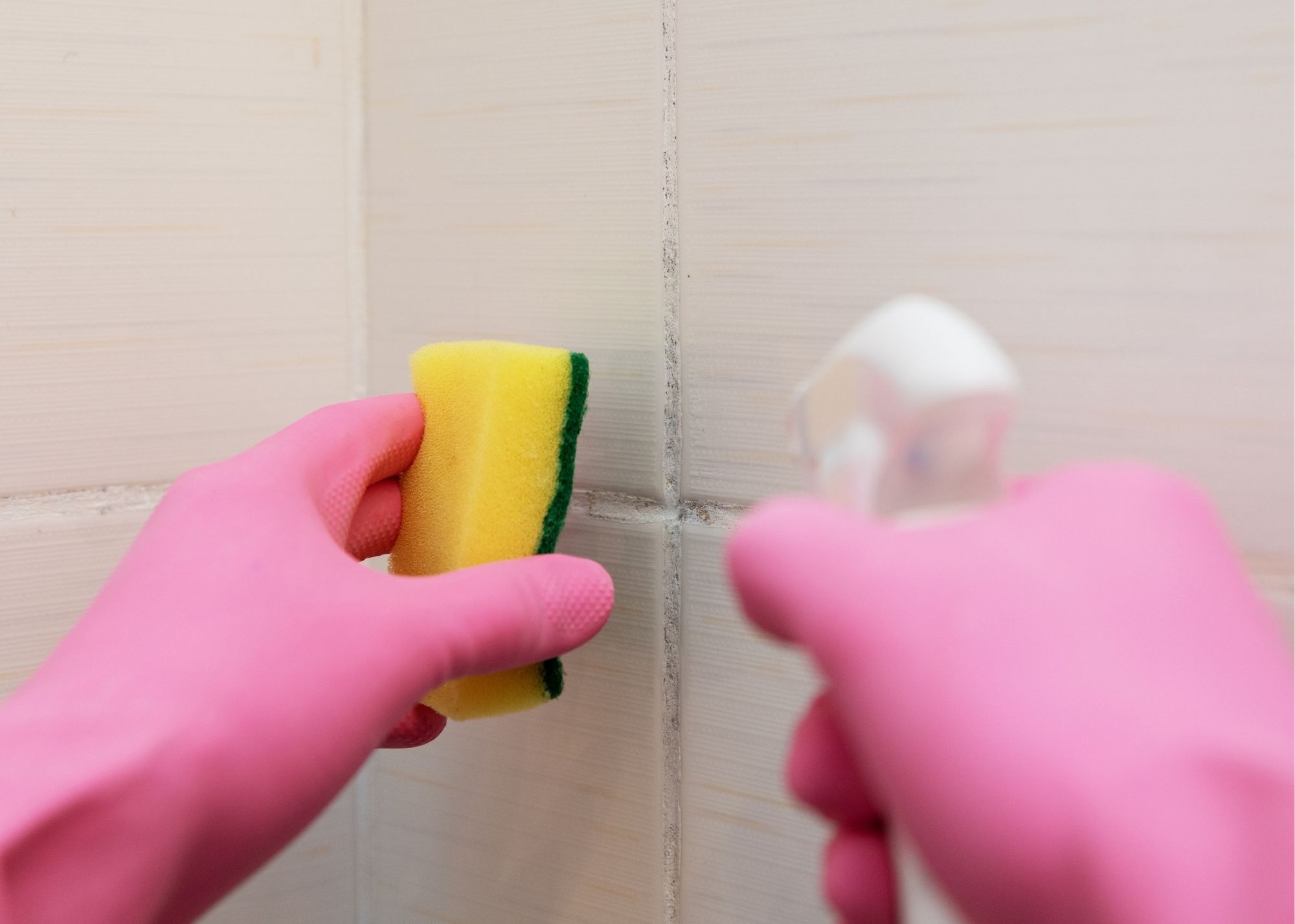 mold removal evansville