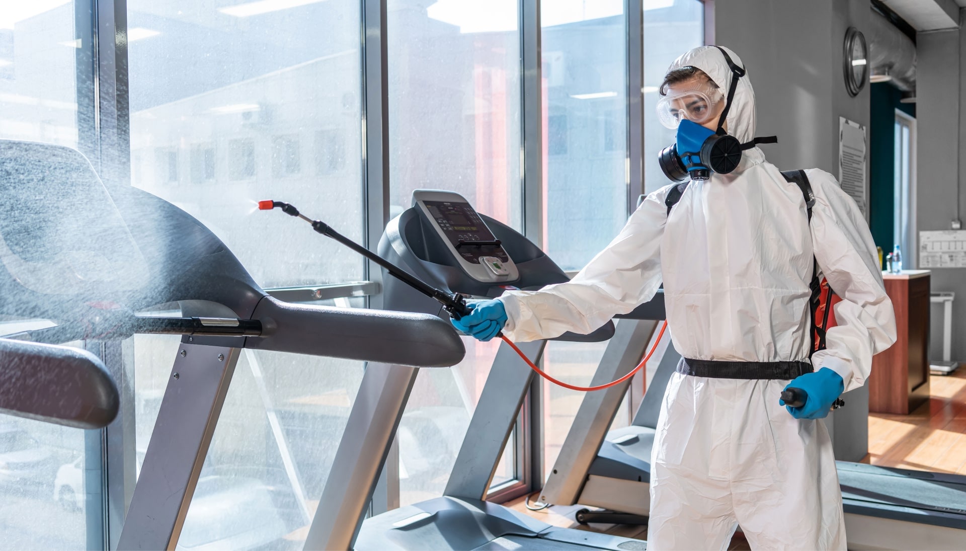 Commercial Mold Removal Services in Evansville