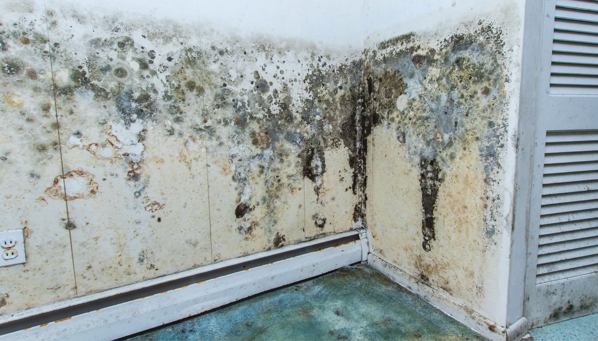 Mold Damage Odor Control Services in Evansville