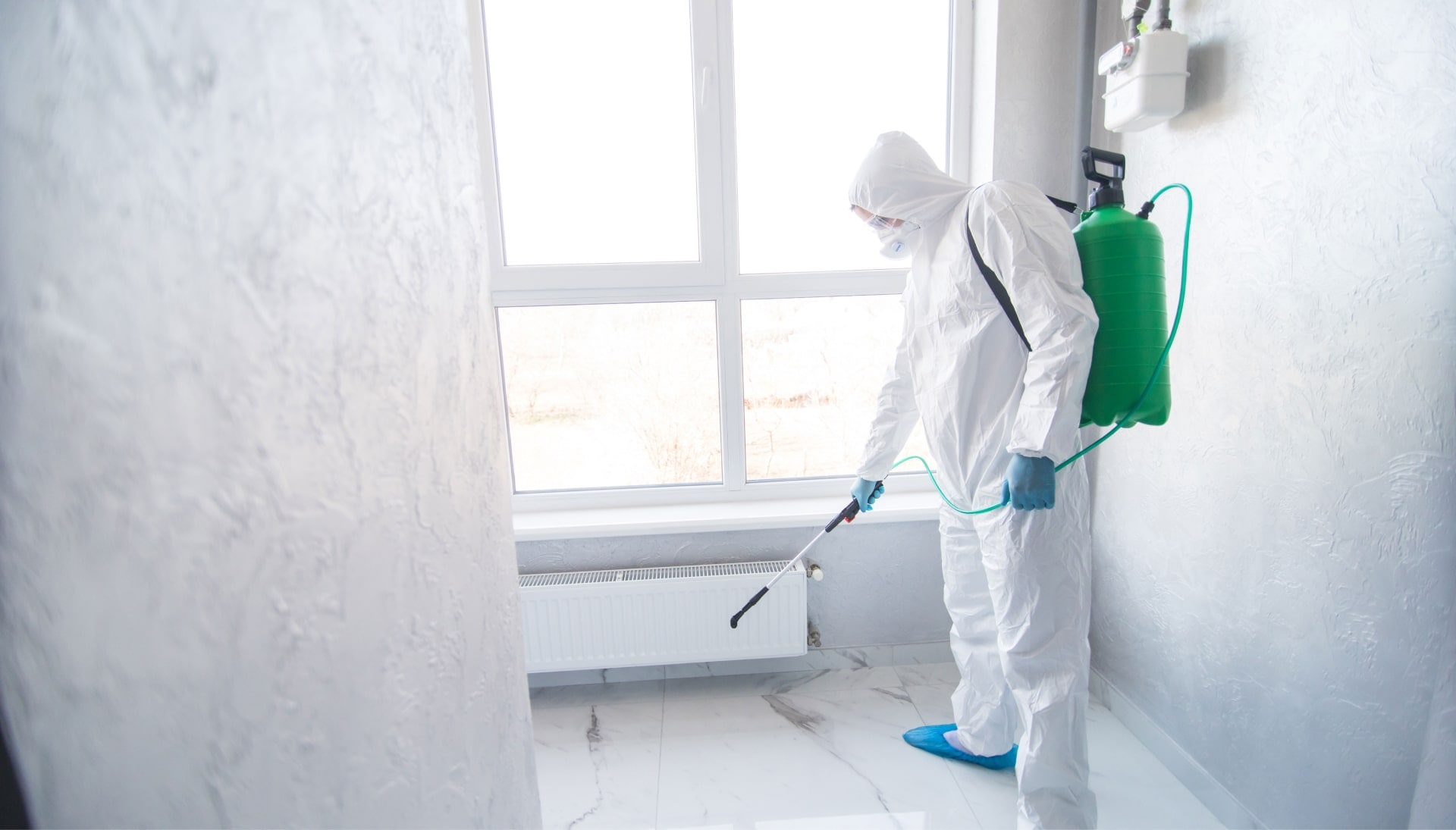 Mold Inspection Services in Evansville
